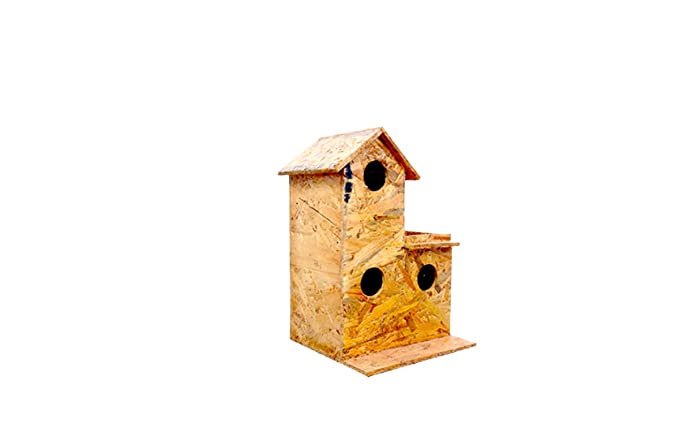 Amijivdaya Wooden Water-Resistant Sparrow House