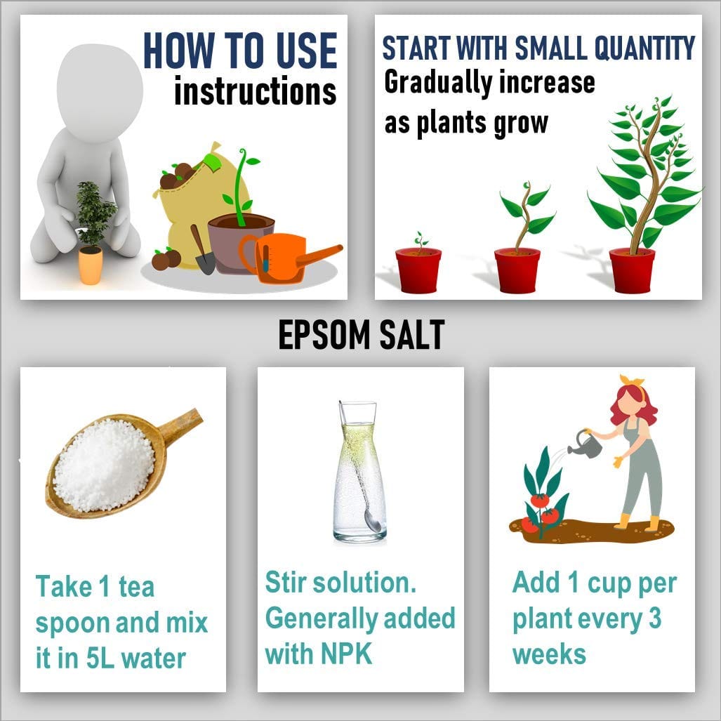 Shiviproducts NPK Fertilizer (300 gm) + Epsom Salt (150 gm)