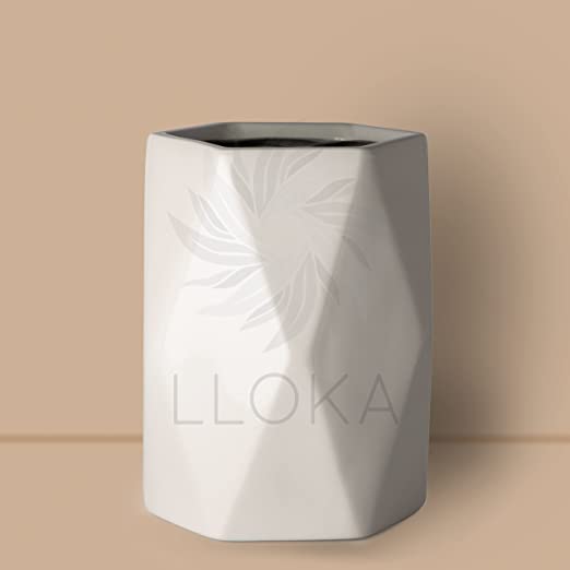 LLOKA Luxurious Fiberglass Planters Table Top Pots & Planters (Prana_Geo_05)