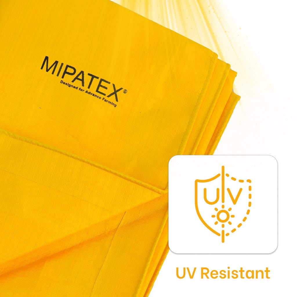 Mipatex Tarapaulin Sheet (40ft x 30ft, 200 GSM, Yellow)