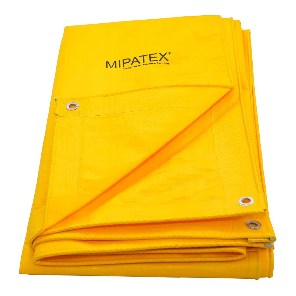 Mipatex Tarapaulin Sheet With Rope (130 GSM, Yellow)