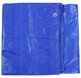 Mipatex Tarapaulin Sheet (3 Feet, 150 GSM, Blue)