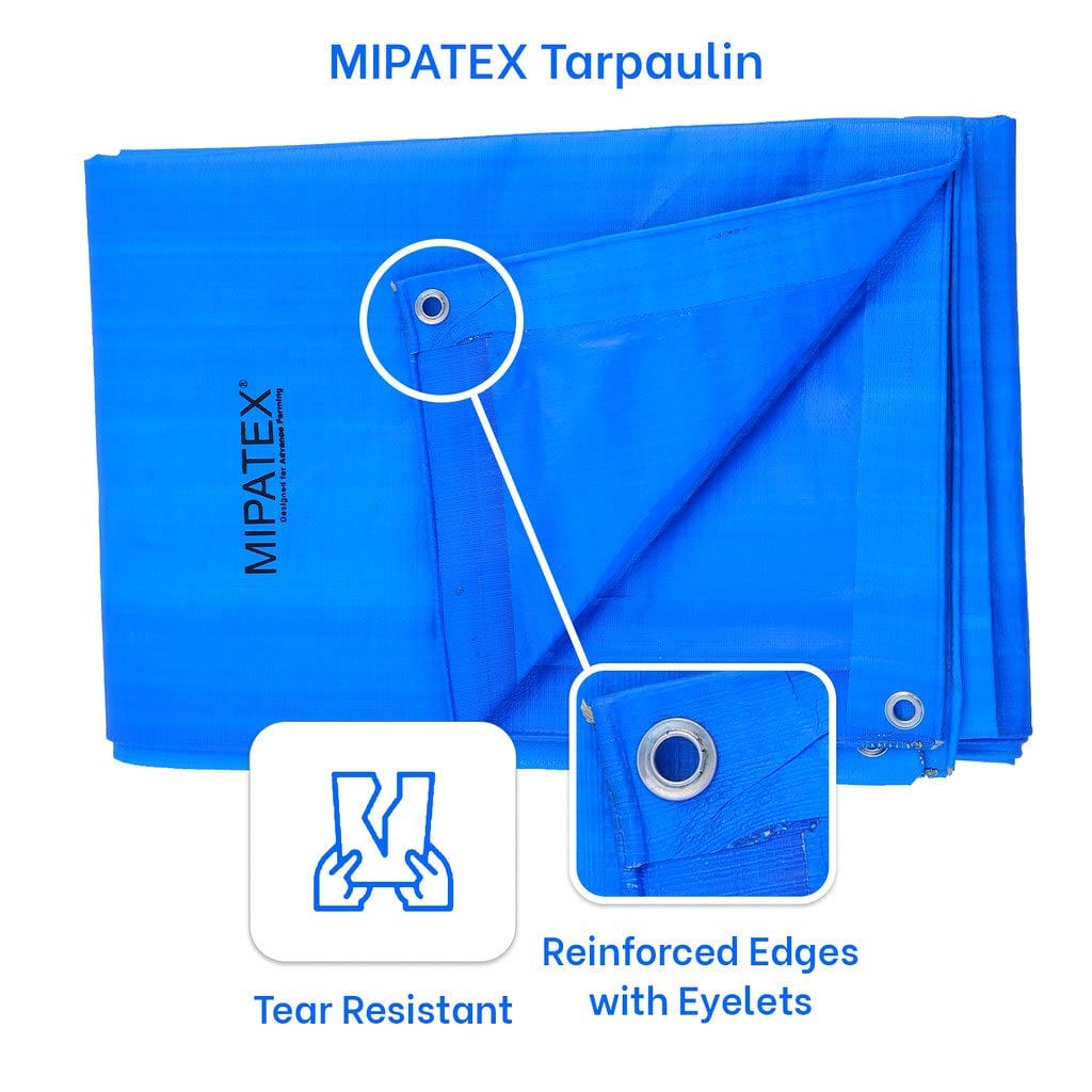 Mipatex Tarapaulin Sheet (3 Feet, 200 GSM, Blue)