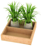 Lycka Wooden Planter Tray (8 Inches)