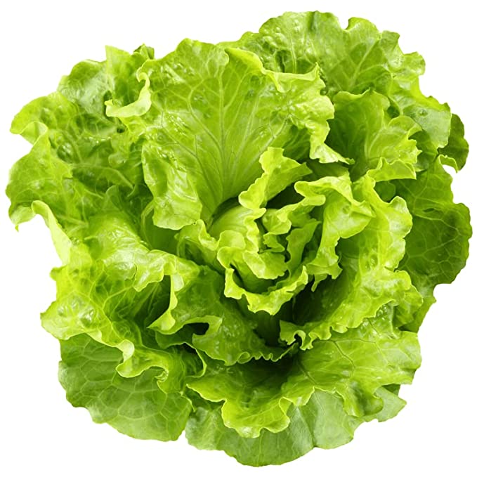 Pindfresh Romaine Lettuce Seeds (800 seeds)