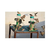 Amijivdaya Bird Food Feeder With Hut (Large) - Pack Of 6