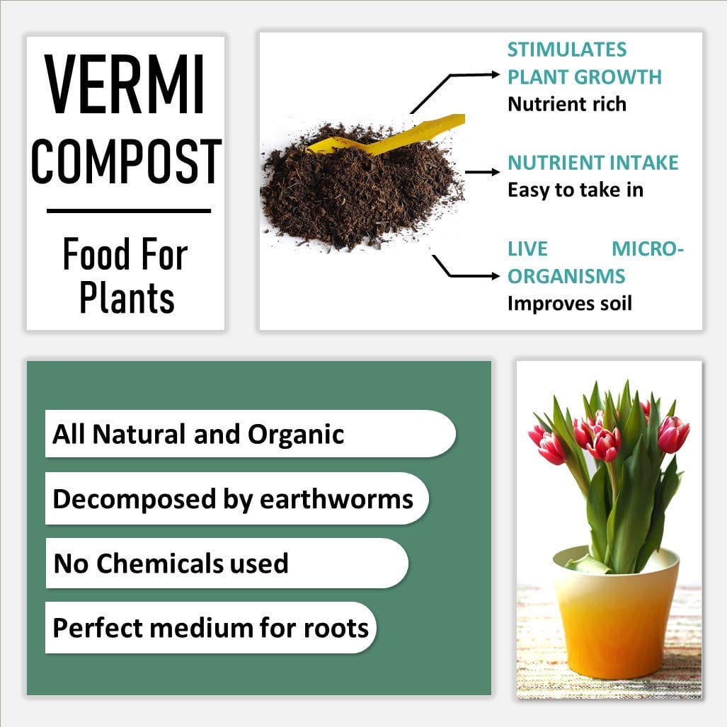 Shiviproducts Mushroom Vermicompost