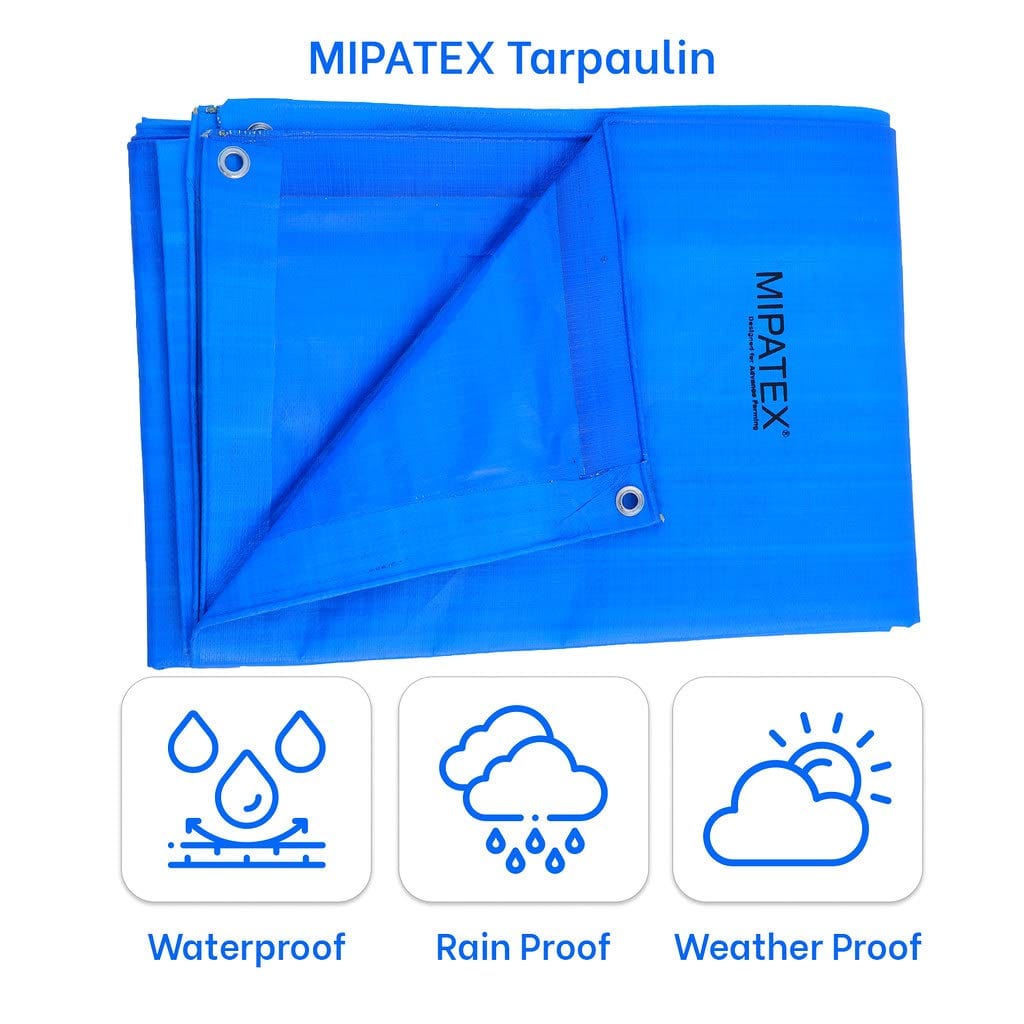 Mipatex Tarapaulin Sheet (3 Feet, 200 GSM, Blue)