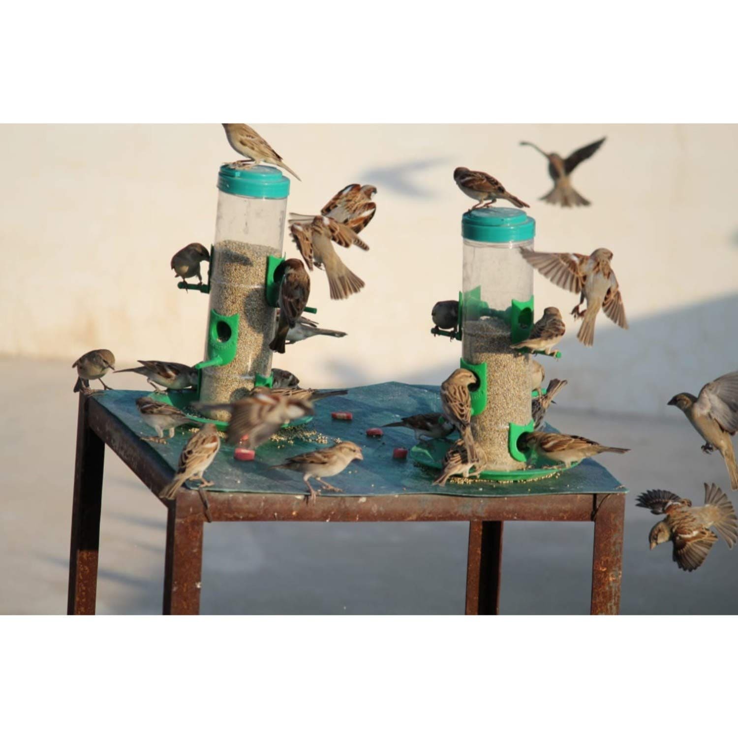 Skybeings Bird Feeder With Hut (Multiple Colours) - Pack of 4