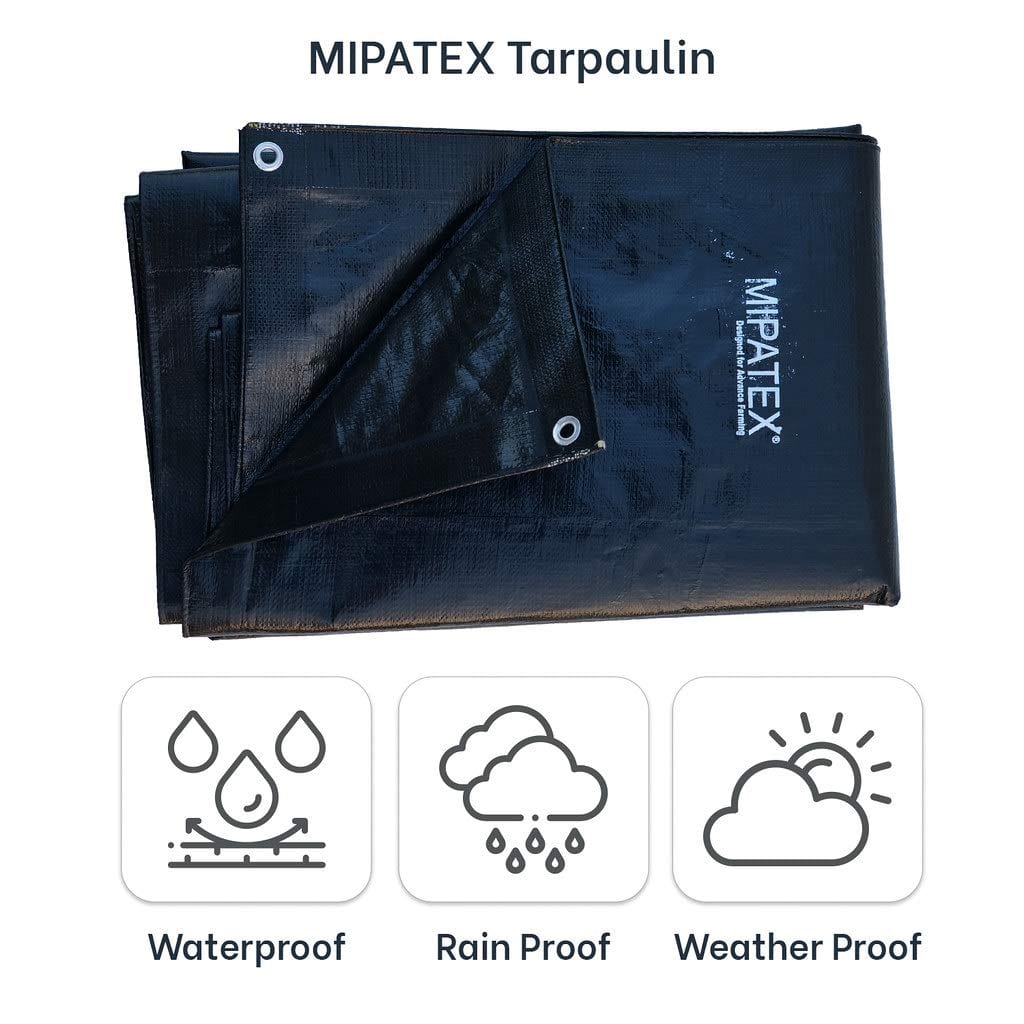 Mipatex Tarpaulin Sheet (150 GSM, Black)