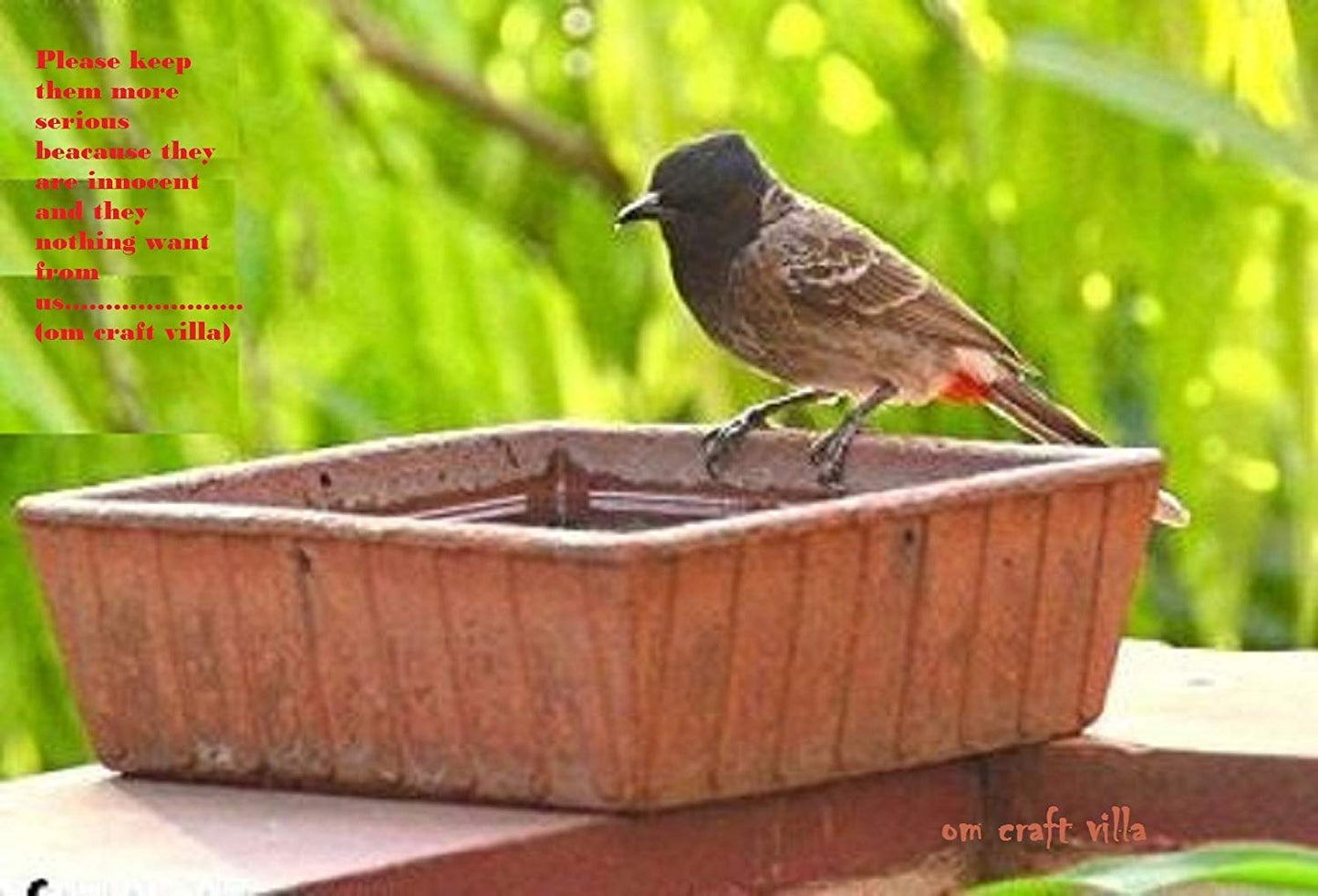 Om Craft Villa Terracotta Bird Bath (9x9 Inches)