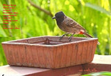 Om Craft Villa Terracotta Square Bird Bath (8.66 inches)