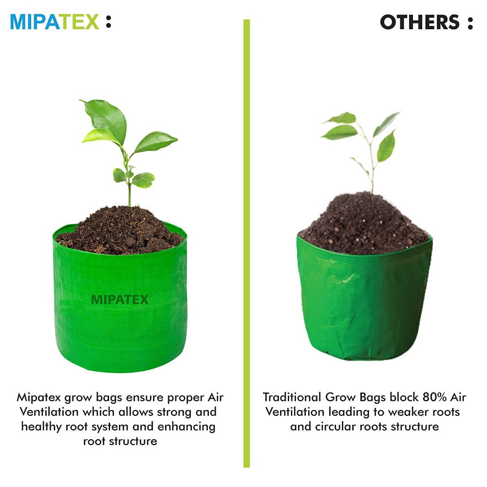 Mipatex Fabric Grow Bags (6x6 Inches)