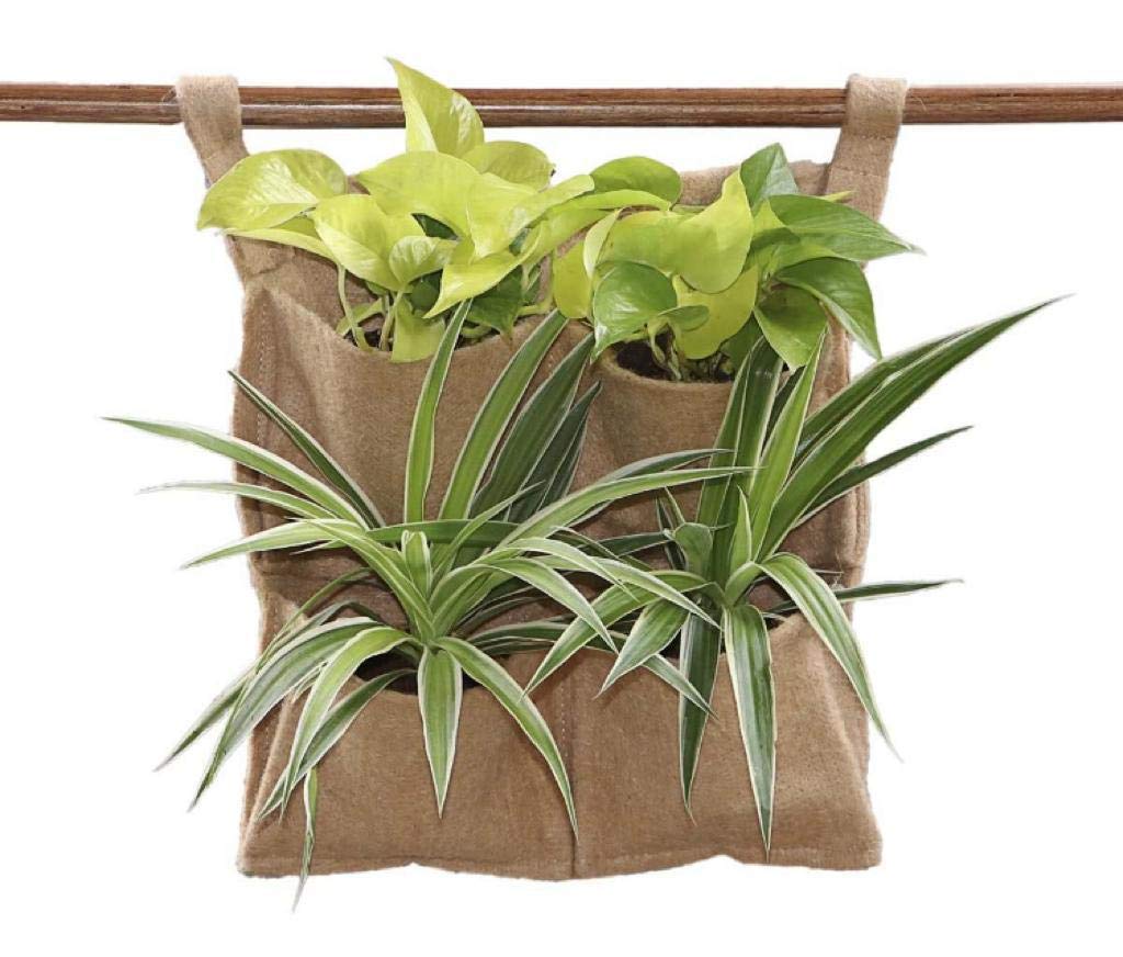 Oxypot 700 GSM Jute Wall Planter 100% Biodegradable. (4 Pocket-1 Planter)