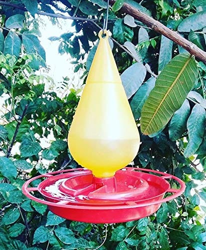 Amijivdaya Cone Shaped Bird Food Feeder With Hut (Medium)