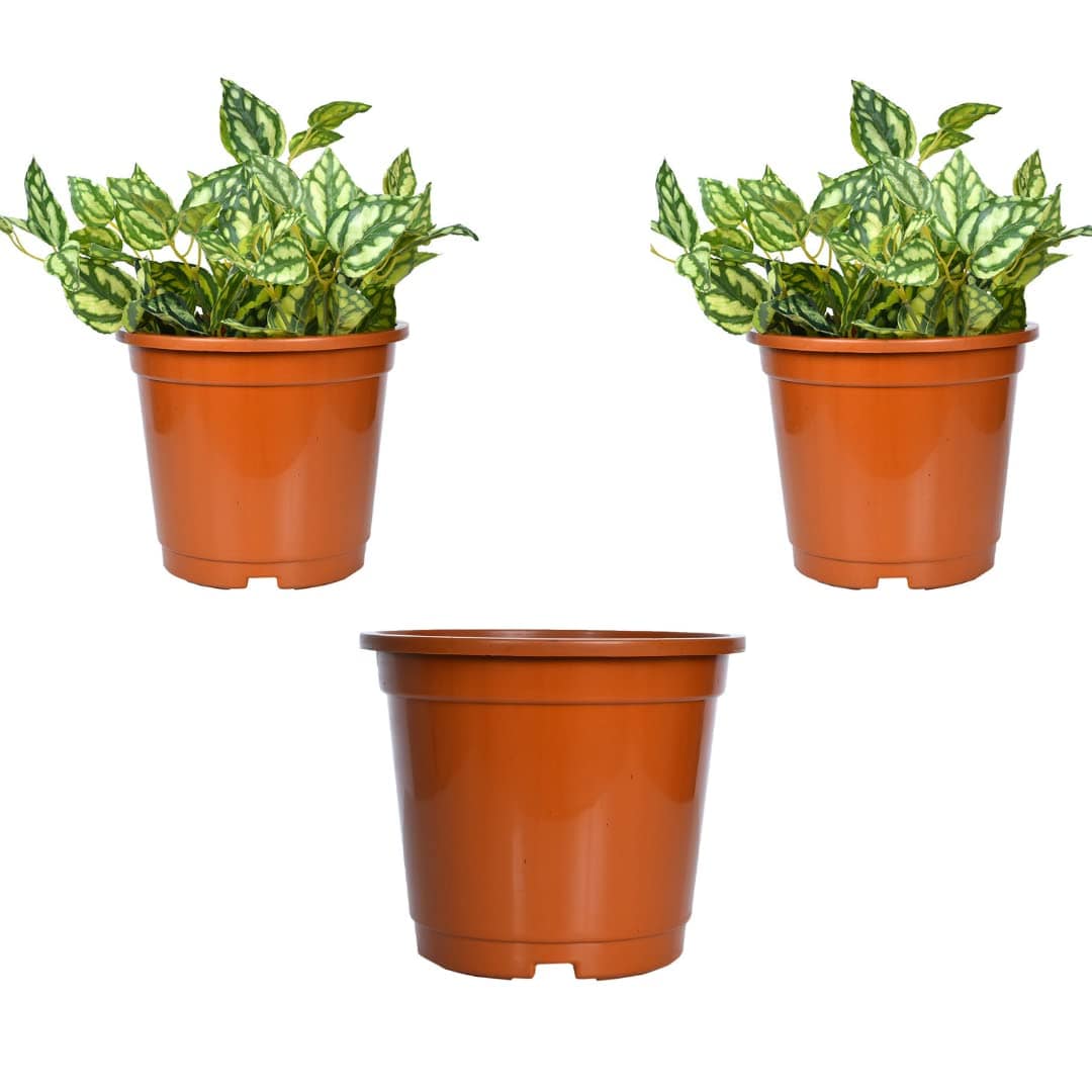 Akura Plastic Planter (Brown, Set Of 3)