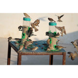 Amijivdaya Bird And Water Feeder Combo (Large, Green)