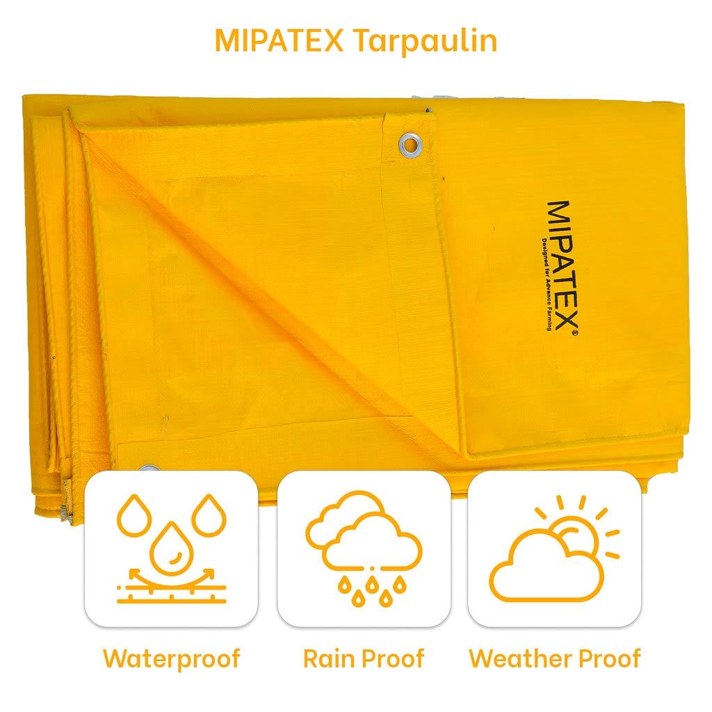 Mipatex Tarpaulin Sheet (150 GSM, Yellow)