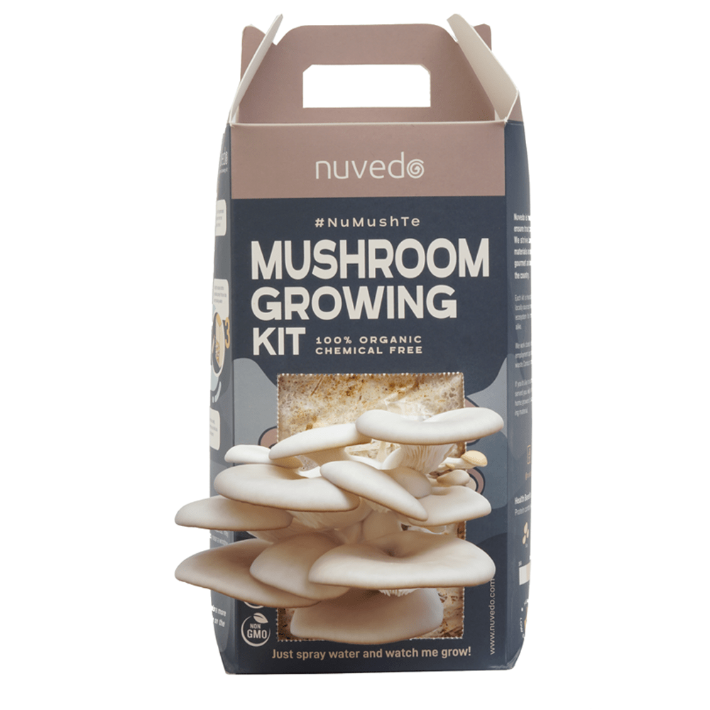 Nuvedo High-Protein Oyster Mushroom Growing Kit