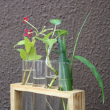 Glass Test Tube Flower Vase with Wood Stand