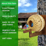 Elysian Hanging Bamboo Strip Bird House and Bird Feeder (15 cms)