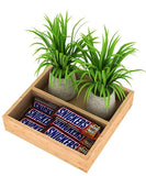 Lycka Wooden Planter Tray (8 Inches)