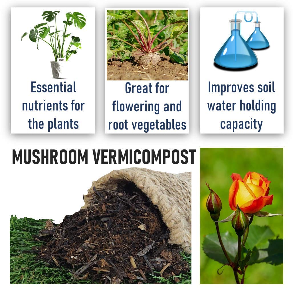 Shiviproducts Mushroom Vermicompost