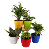 Vgreen Garden Store Self Watering Table Top Planter (Multicolor, Set of 4)