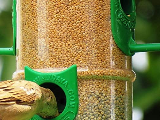 Amijivdaya Bird Feeder With Hut (Large, Multicolour)