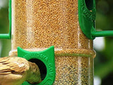 Amijivdaya Bird Feeder With Hut (Large, Multicolour)