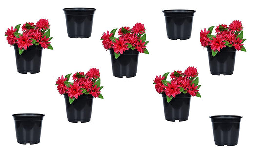 Akura Plastic Planter (Set Of 9)