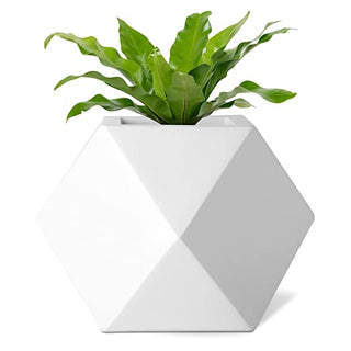 Luxurious Fiberglass Table Top Planters Prana_GeoE_01 (7 inches)