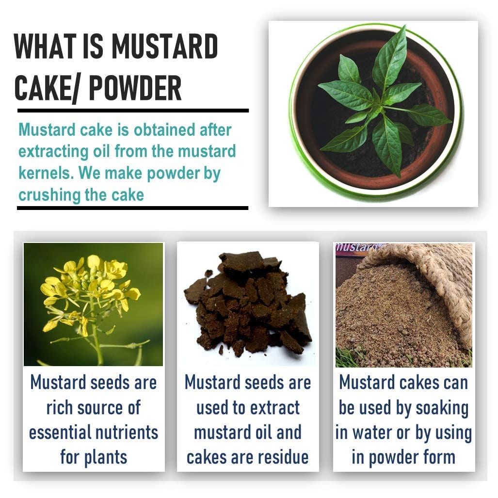 Shiviproducts Mustard Cake (935 gm) And Organic Panchgavya Fertilizer (20 gm)