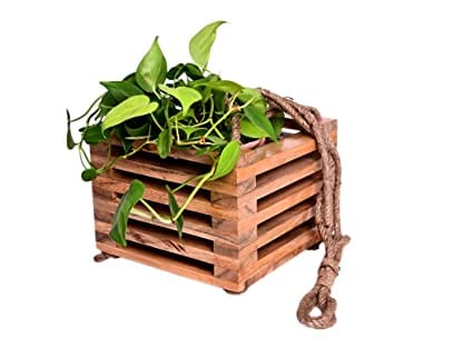 The Weaver's Nest Decorative Wooden Hanging Planter (23 X 23 X 77 cm)