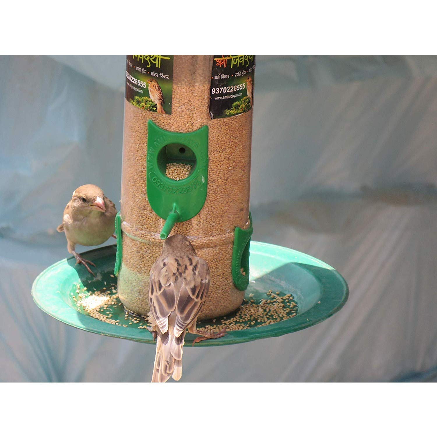 Skybeings Bird Feeder (Medium, Blue)