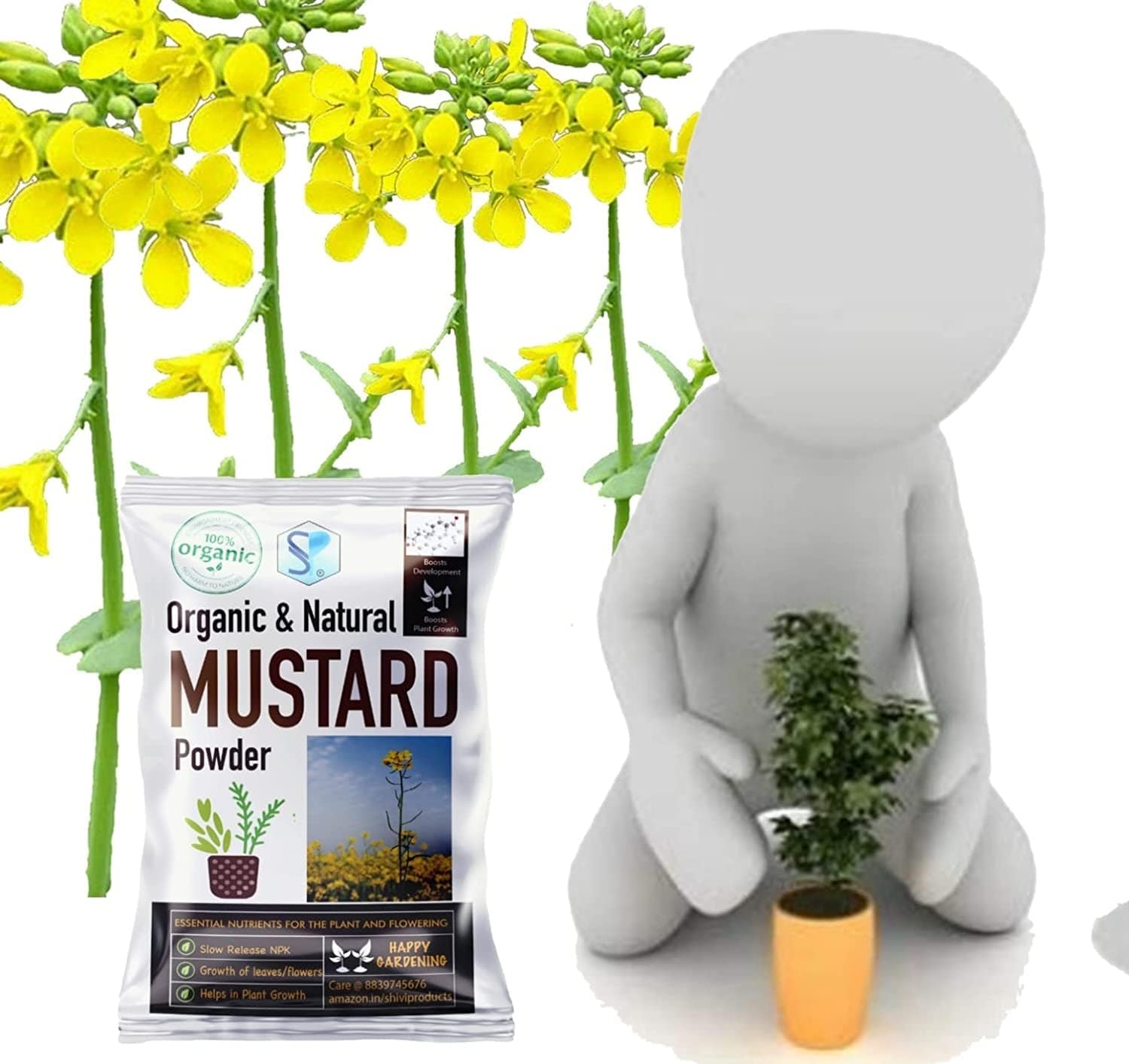 Shiviproducts Organic Mustard Cake Powder