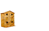 Amijivdaya Bird House (Large, Wooden)