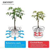 Oxypot 500 GSM Geo Fabric Grow Bags (10 x 10 Inches )- Pack of 3