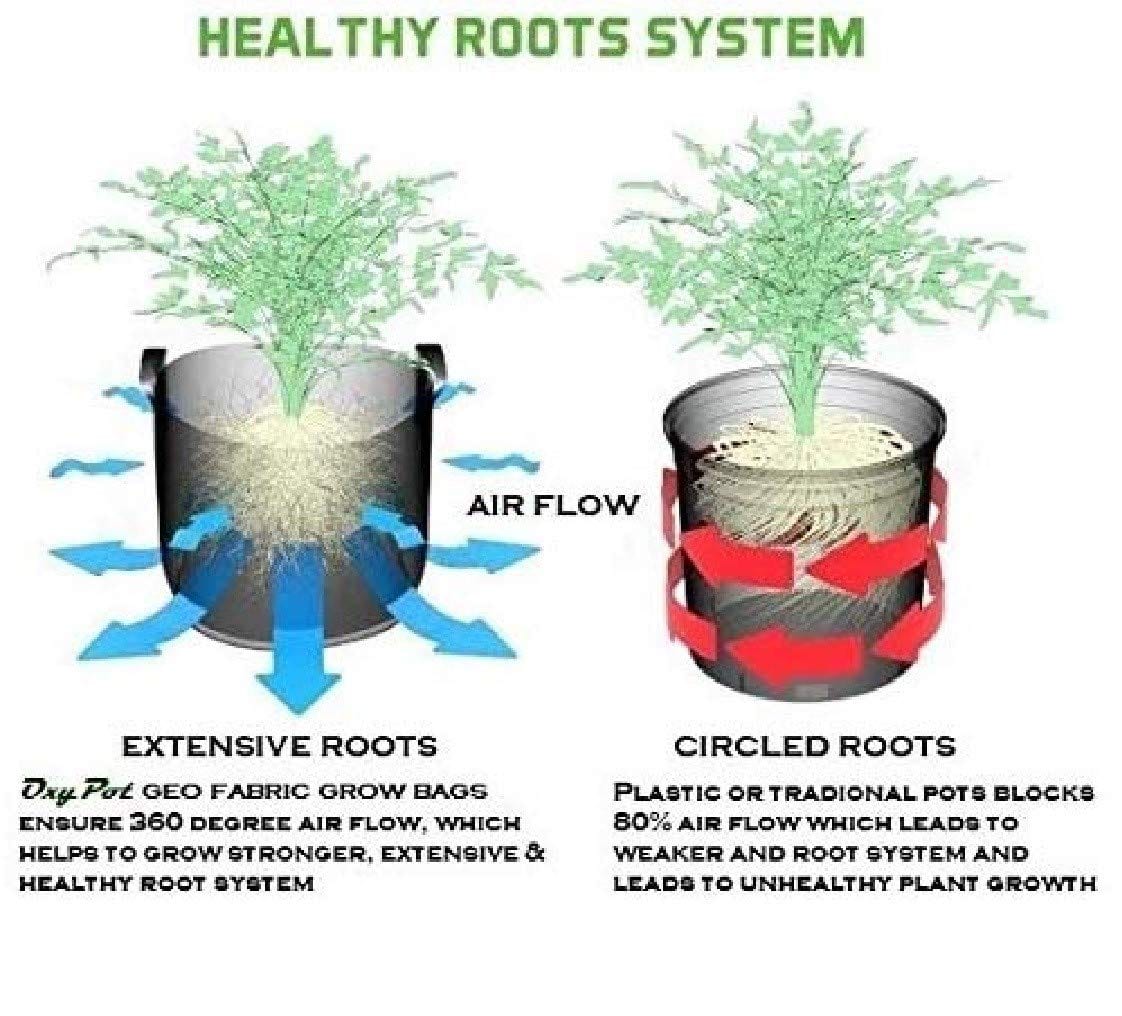 Oxypot Plastic Grow Bags (24x12x12 inch)