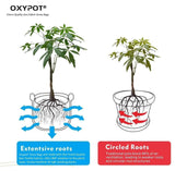 Oxypot Plastic Grow Bags (24x12x12 inch)