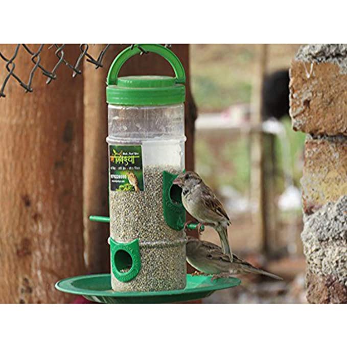 Amijivdaya Hut Bird Feeder With Wall Mount Stand (Jumbo, Blue)