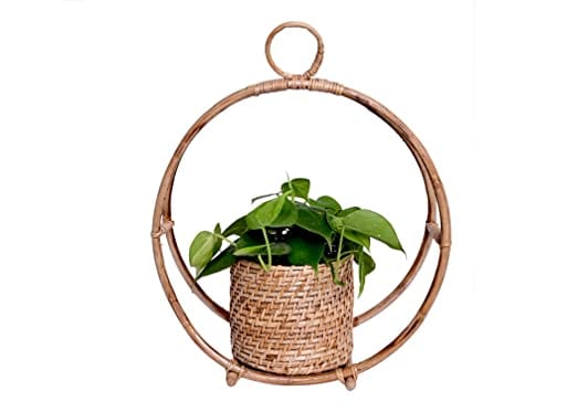 The Weaver's Nest Handmade Natural Cane Planter (35 X 15 X 42 cm)