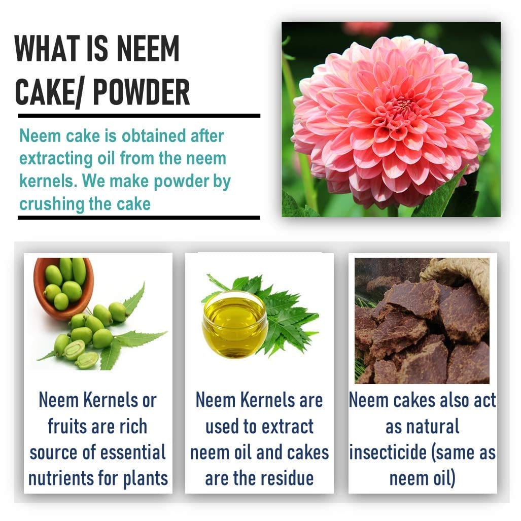 Shiviproducts Neem Oil Cake And Pest Repellent