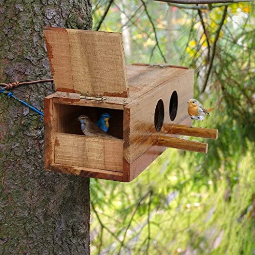 Elysian Decorative Wooden Bird House for Garden (25x9.5x8 cm)