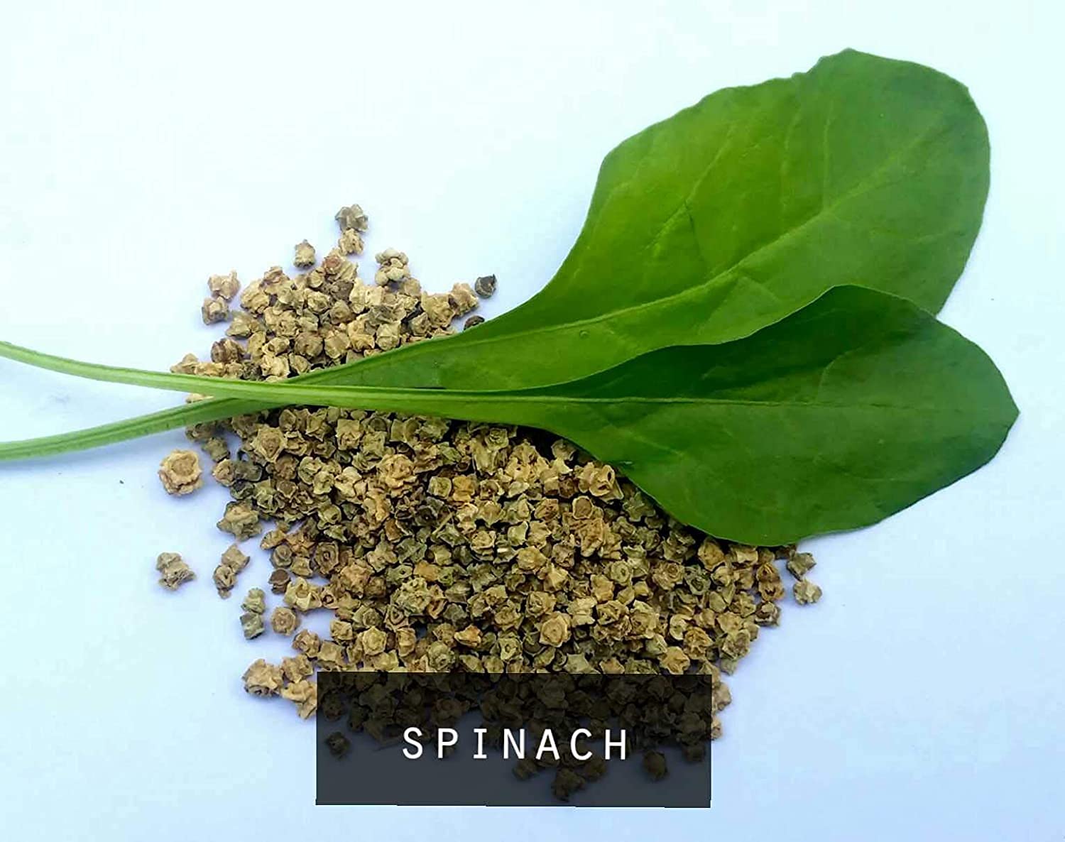 Shiviproducts Spinach (Palak) Seeds