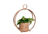 The Weaver's Nest Handmade Natural Cane Planter (35 X 15 X 42 cm)