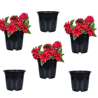 Plastic Planter (Set Of 6)