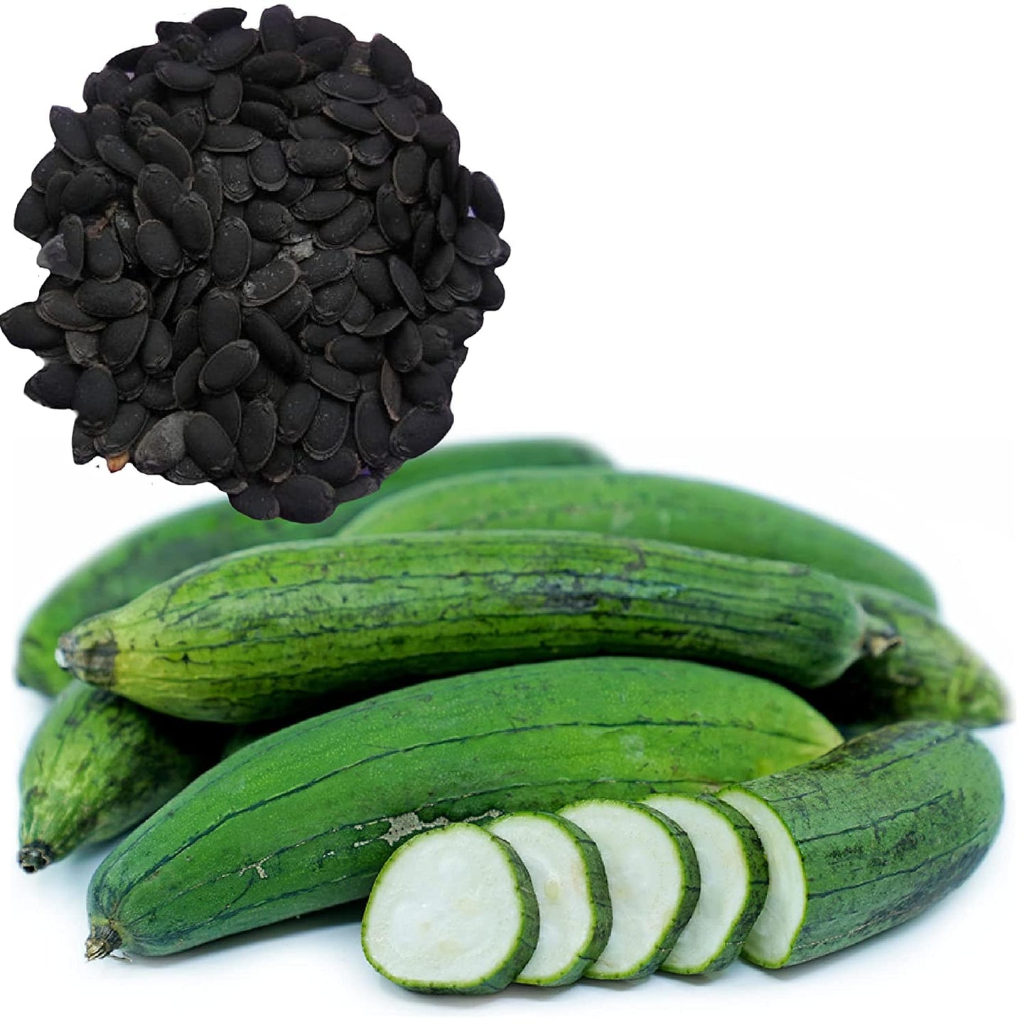 Shiviproducts Ridge Gourd (Torai) and Sponge Gourd (Dodka) Seeds