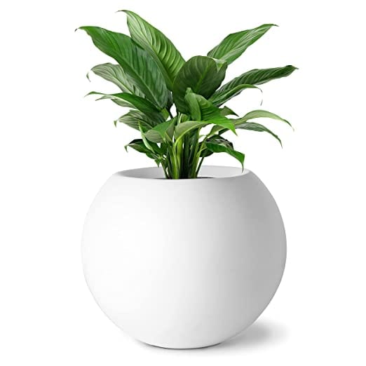 LLOKA Luxurious Fiberglass Table Top Pots & Planters - Prana_Sph_02