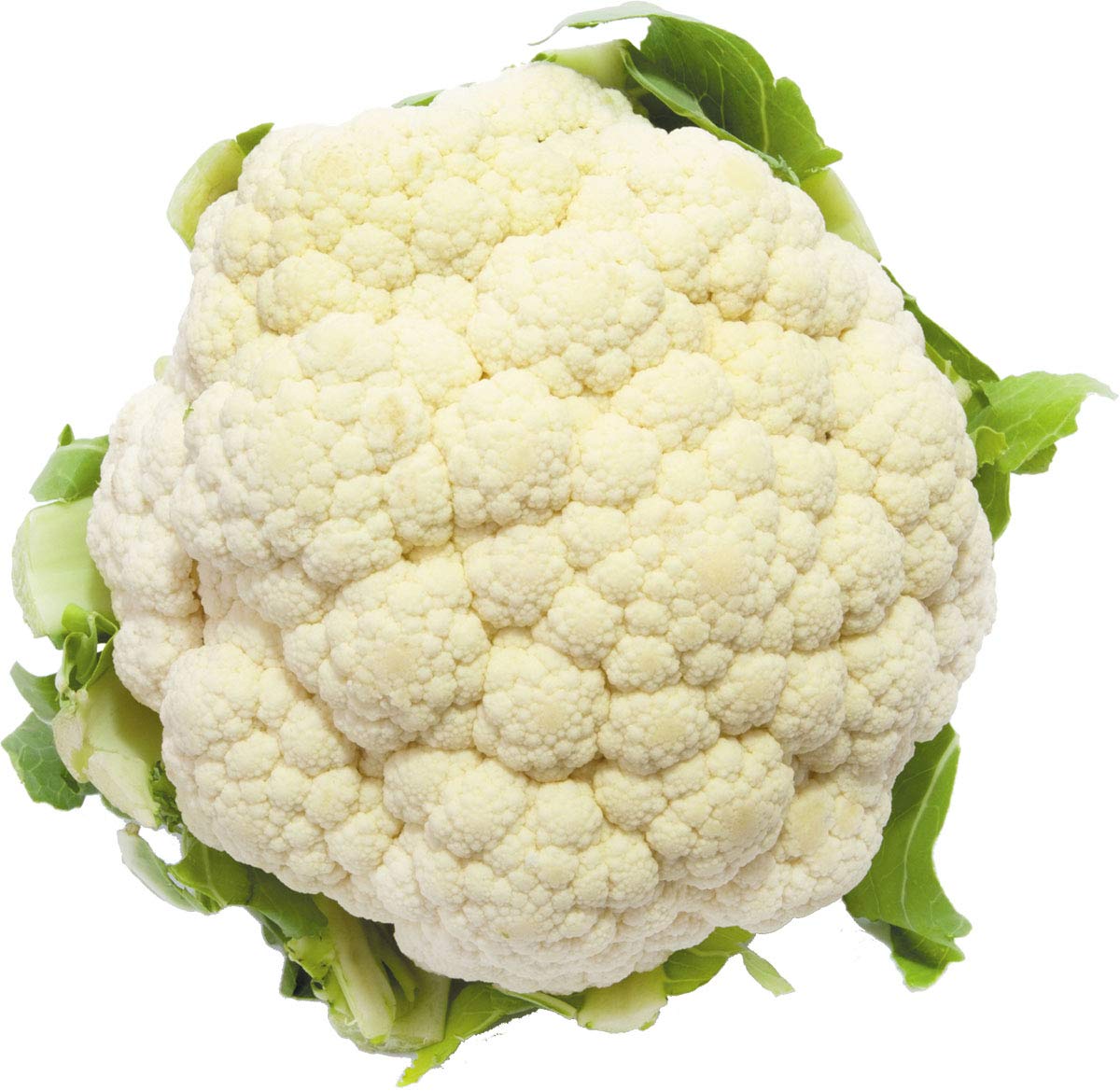 Aero Seeds Cauliflower Seeds (50 Seeds)